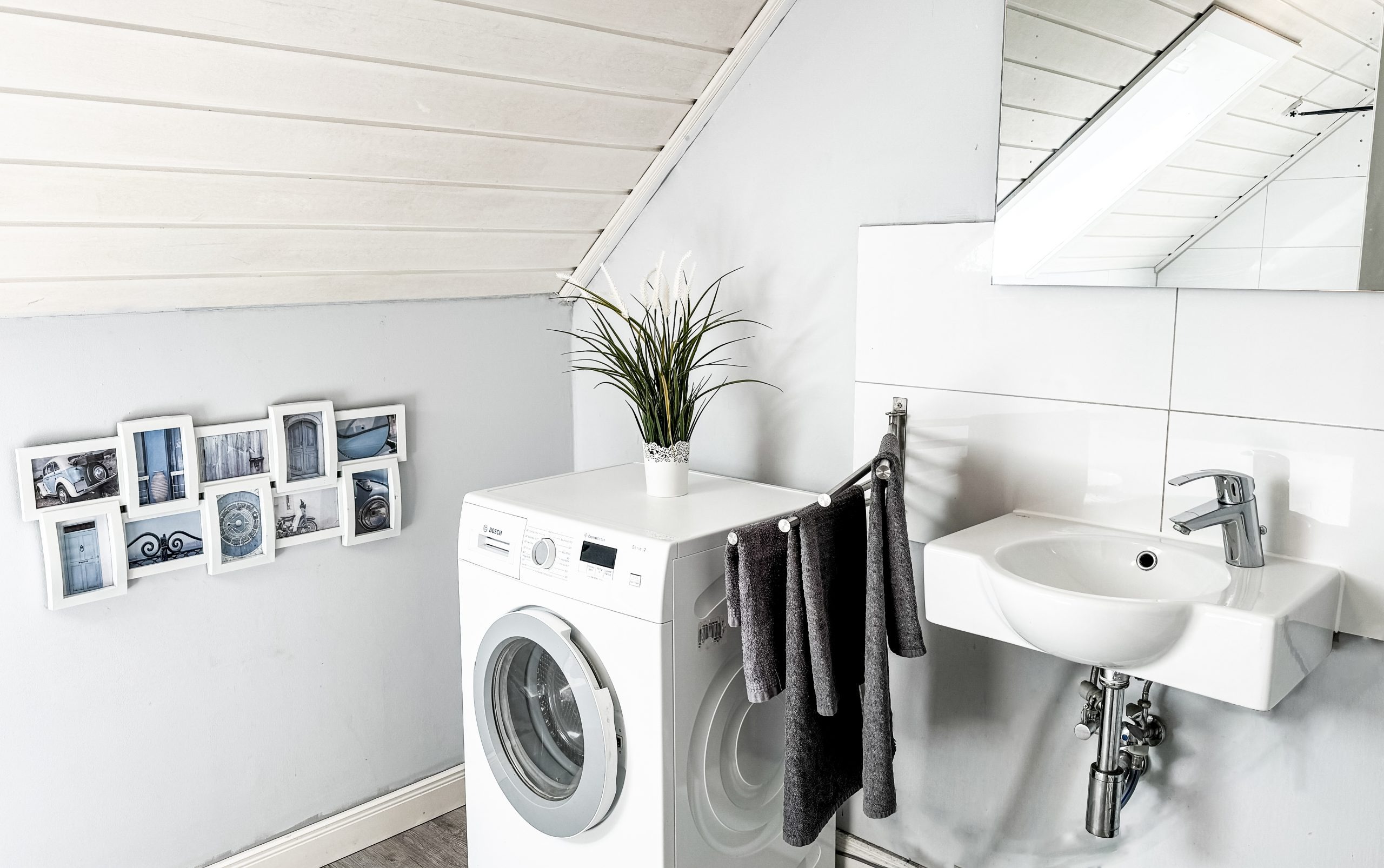 imgi_143_IMG_8912-scaled