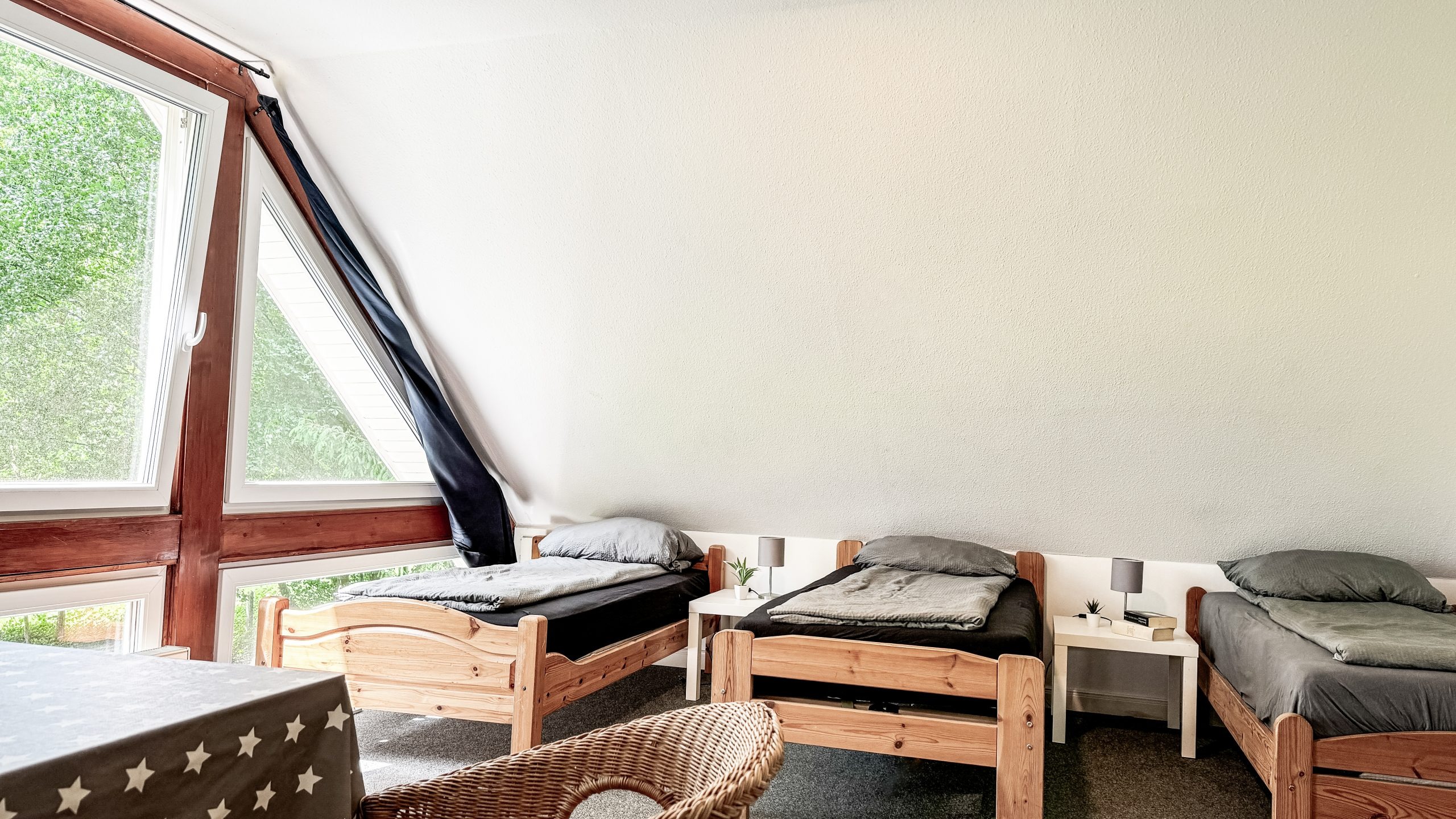 imgi_154_IMG_8924-scaled